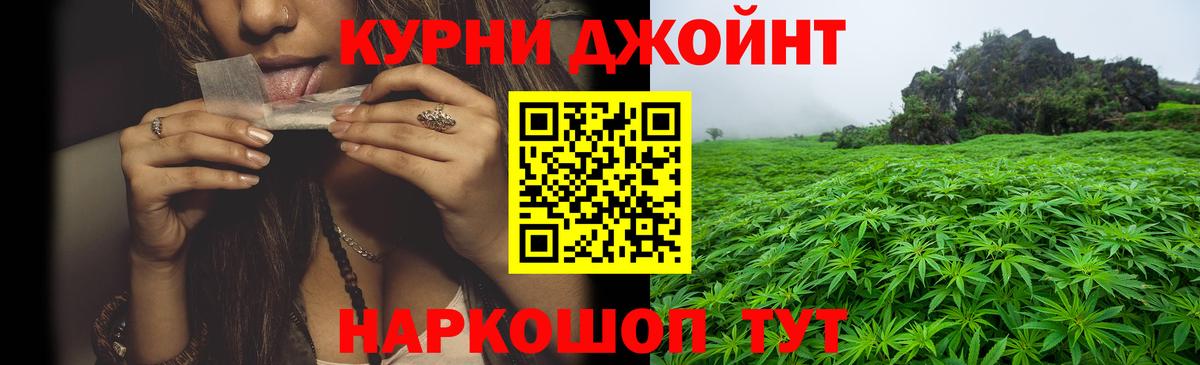 Каннабис конопля Алексеевка